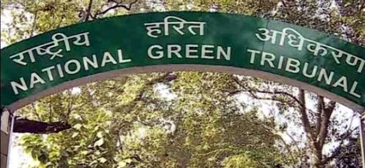Tughlakabad gas leak: NGT asks all parties to file report within a week