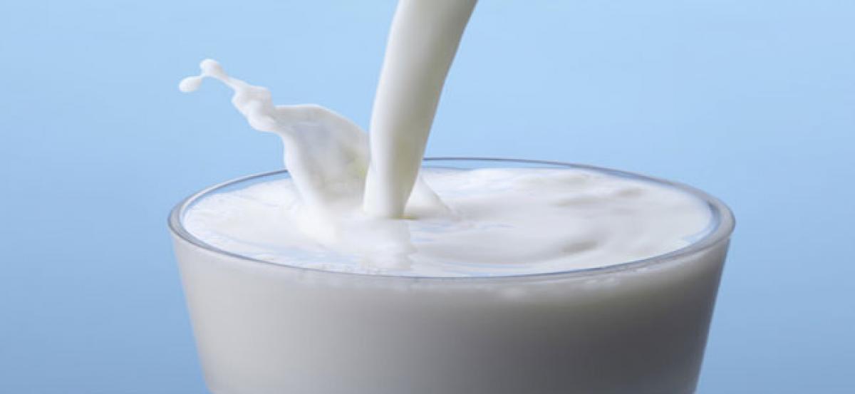Ananta milk gains popularity