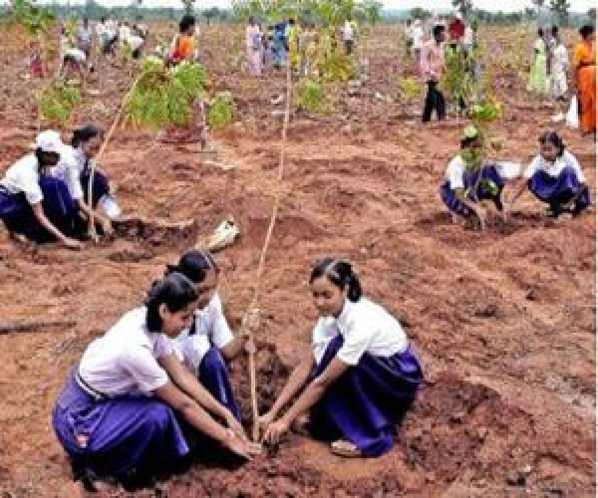 Massive plantation drive by SCR