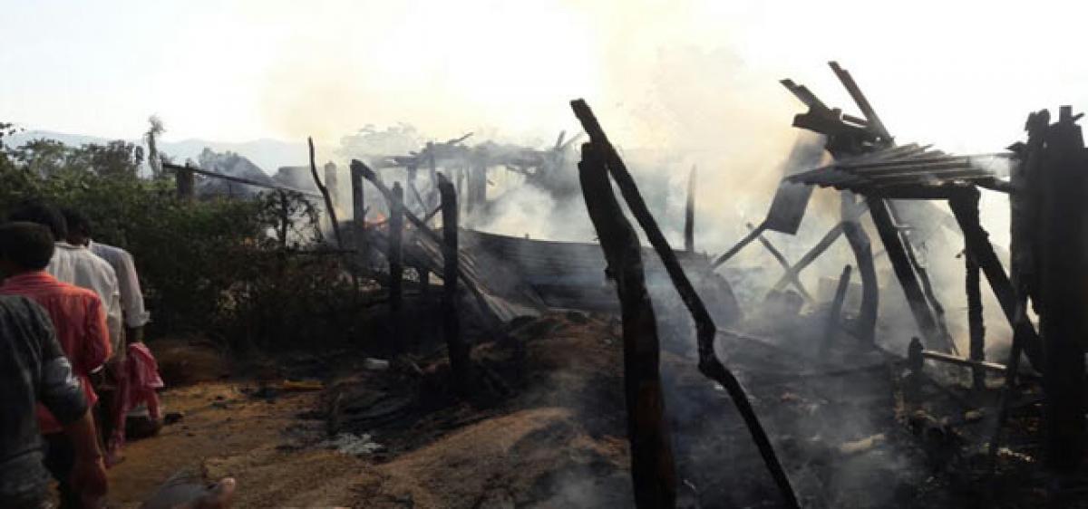 Paddy, cotton reduced to ashes