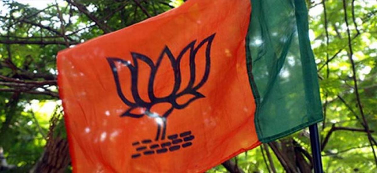 BMC polls: BJP to contest 195 seats; leaves 32 for allies