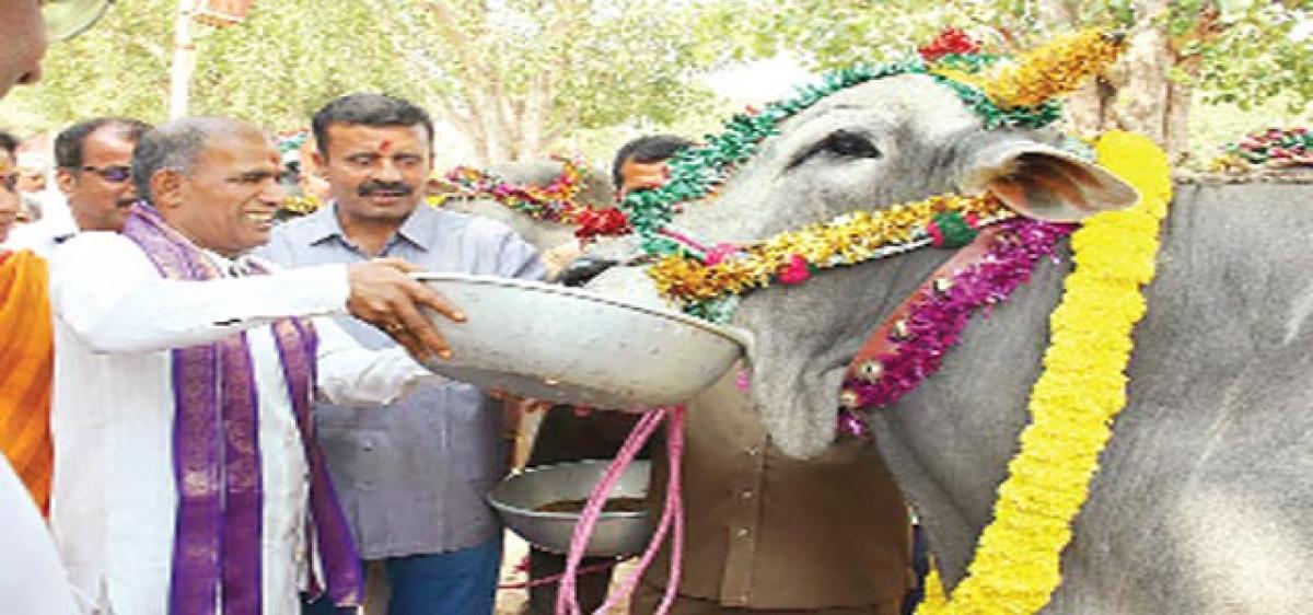 Paruveta  Utsavam  celebrated