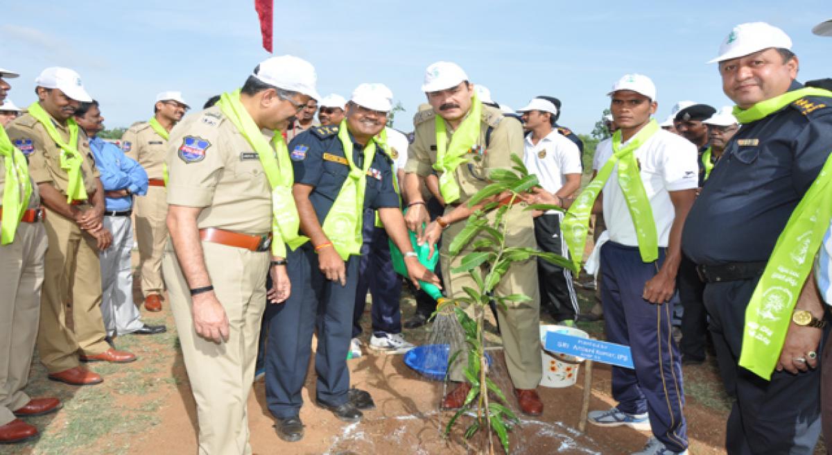 Cops planted 12 lakh saplings: DGP