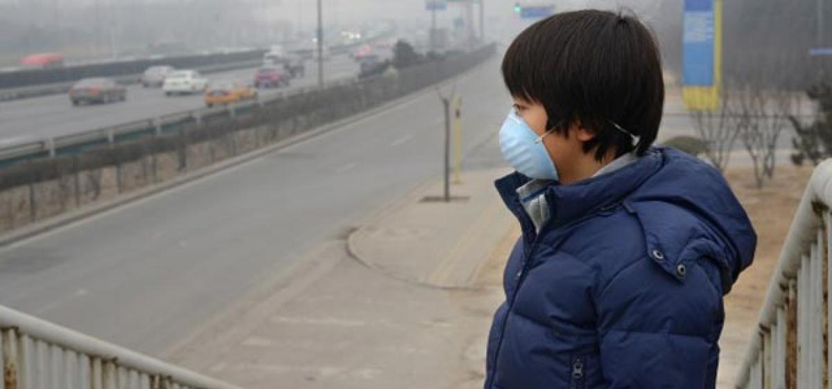 Air pollution linked to respiratory, cardiovascular deaths