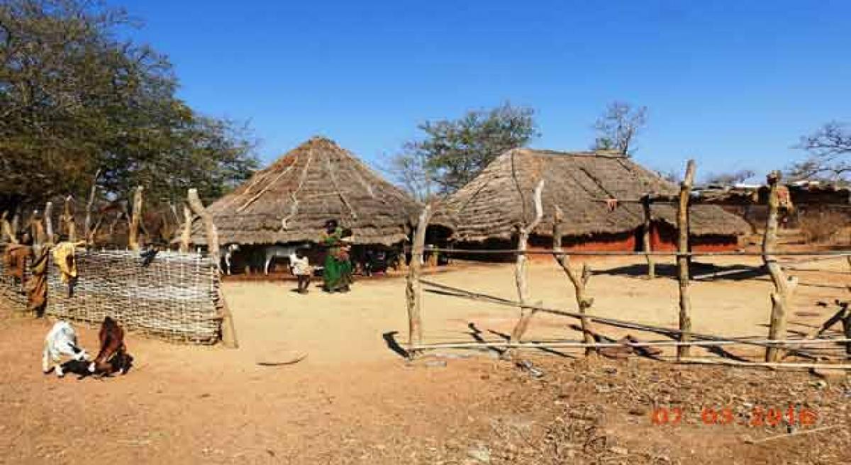 Dry tribal villages of Medak cry for water
