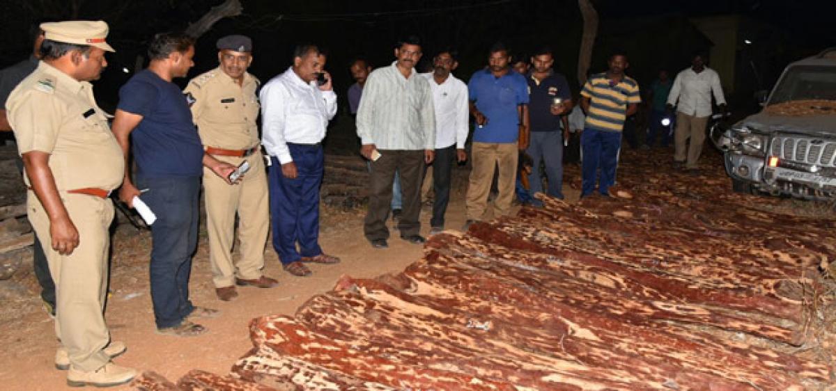 179 arrested, 307 logs seized