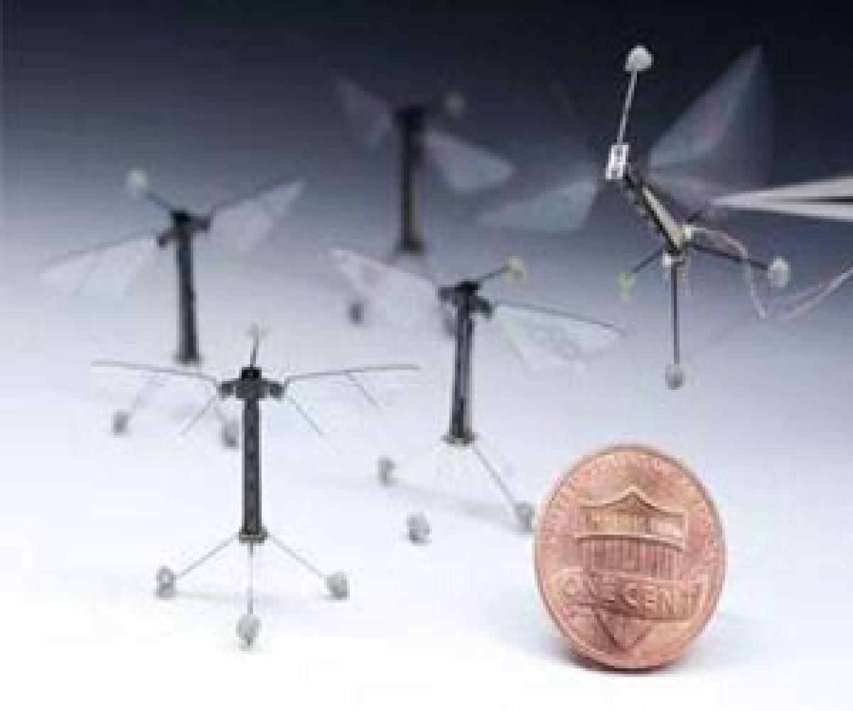 Drones are passe, welcome self flying RoboBees