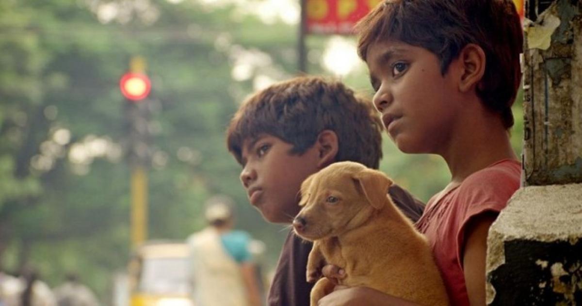 Kaaka Muttai mints gold at Box Office