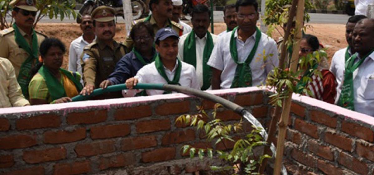 Collector inspects status of Haritha Haram saplings