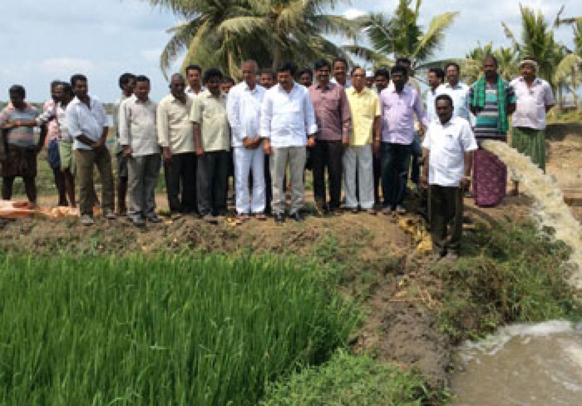 MLA promises water for crops