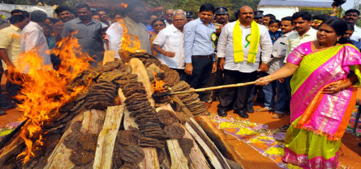 Sankranti celebrations observed in Eluru