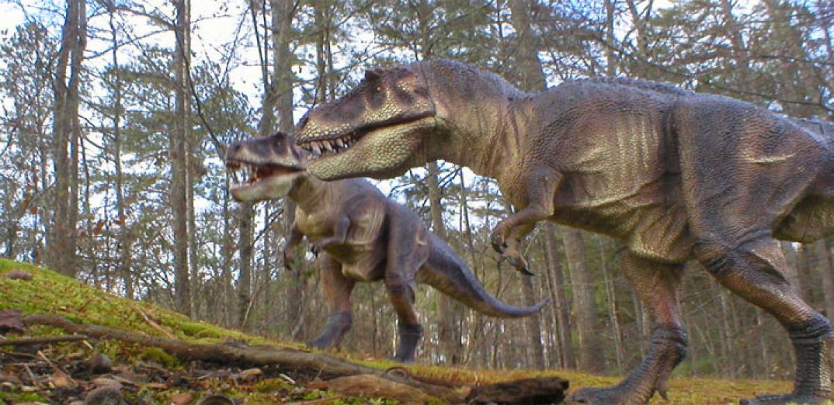 Tyrannosaurs were cannibals