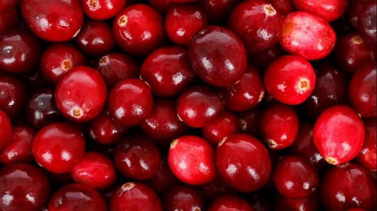 Not all cranberry supplements prevent urinary tract infections