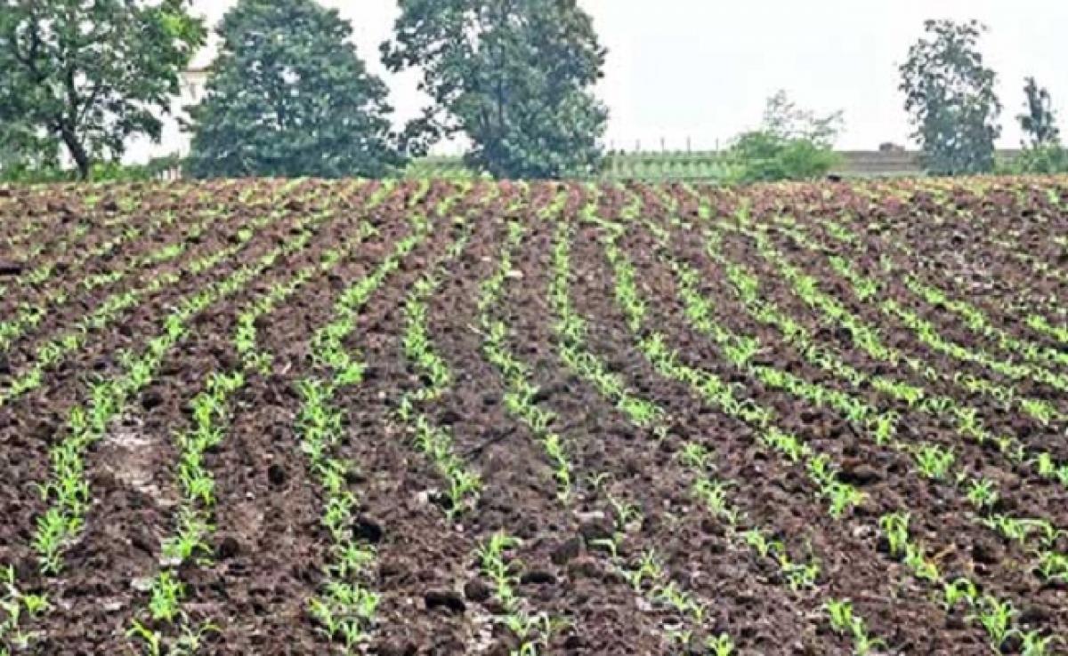 Uttar Pradesh Farm Loan Waiver: Rs. 27,420 Crore Hit Seen On Banks, Says SBI Research