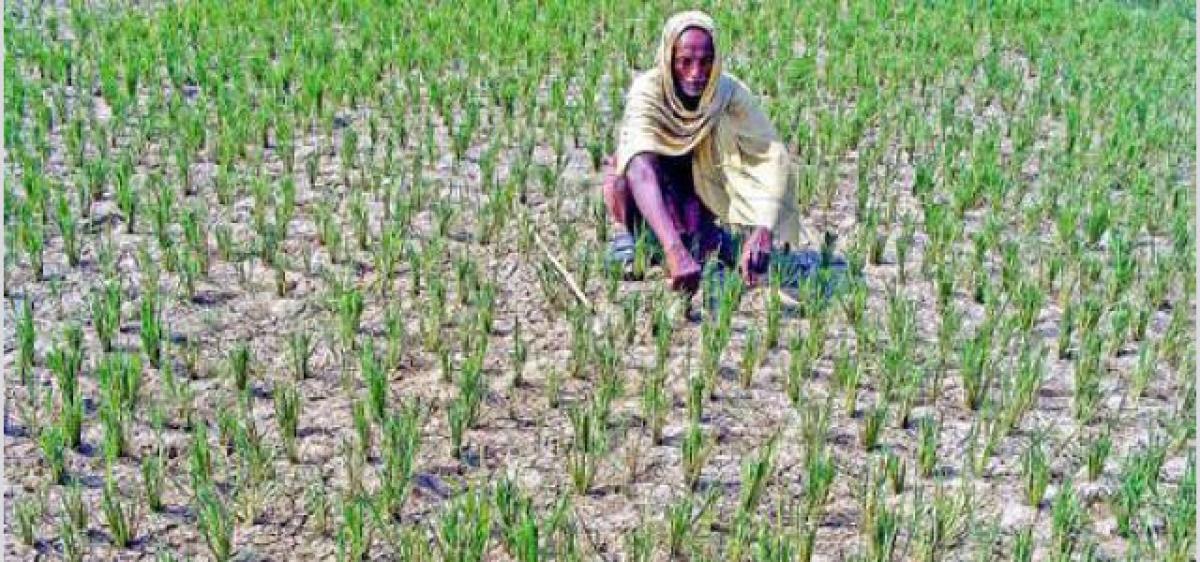 AP Govt constitutes scientific panel on drought forecast