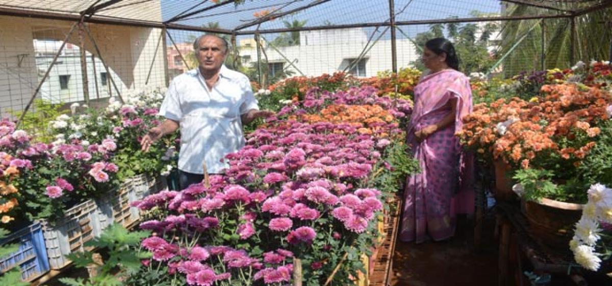 A roof garden that blooms round the year!