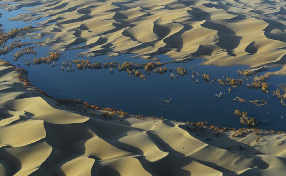 Missing carbon sink found underneath world’s deserts