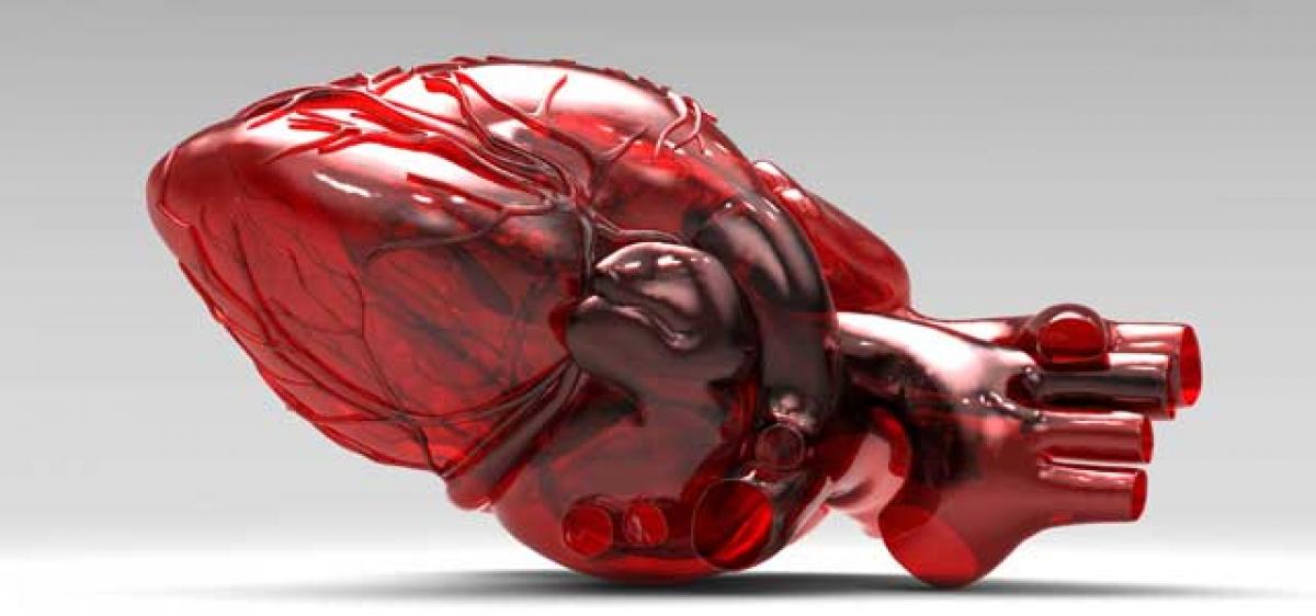 New beating 3D heart tissue may improve cardiac treatment