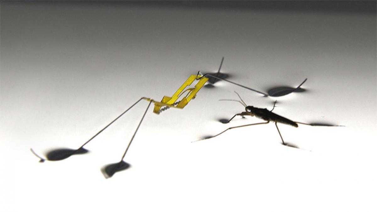 Insect sized robot can jump on water