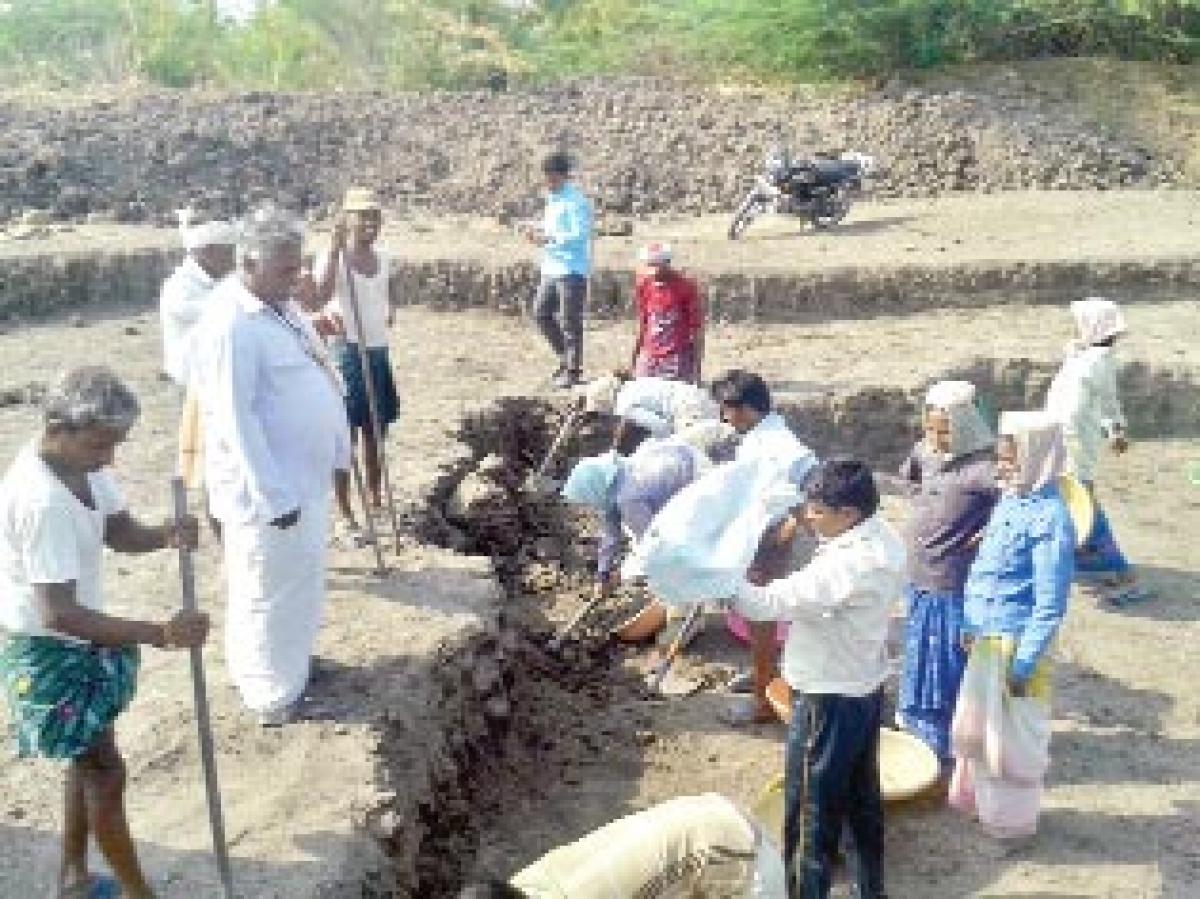 Farm ponds bring cheer to farmers