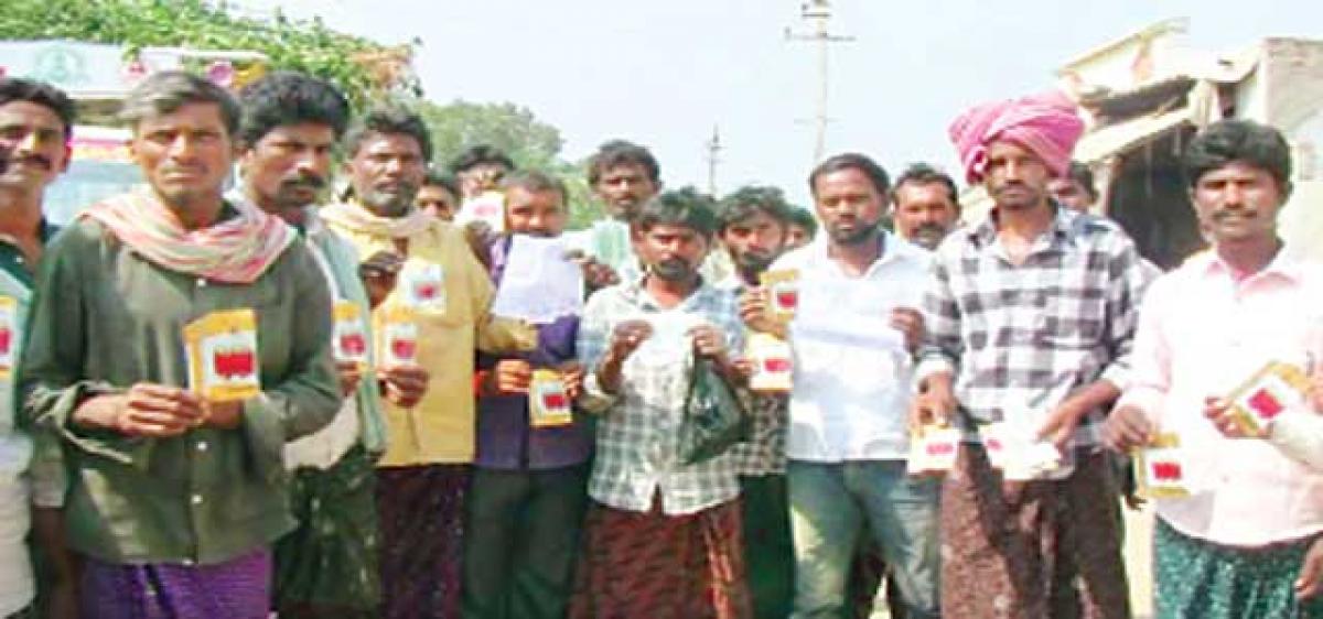 Spurious chilli seeds put farmers in distress