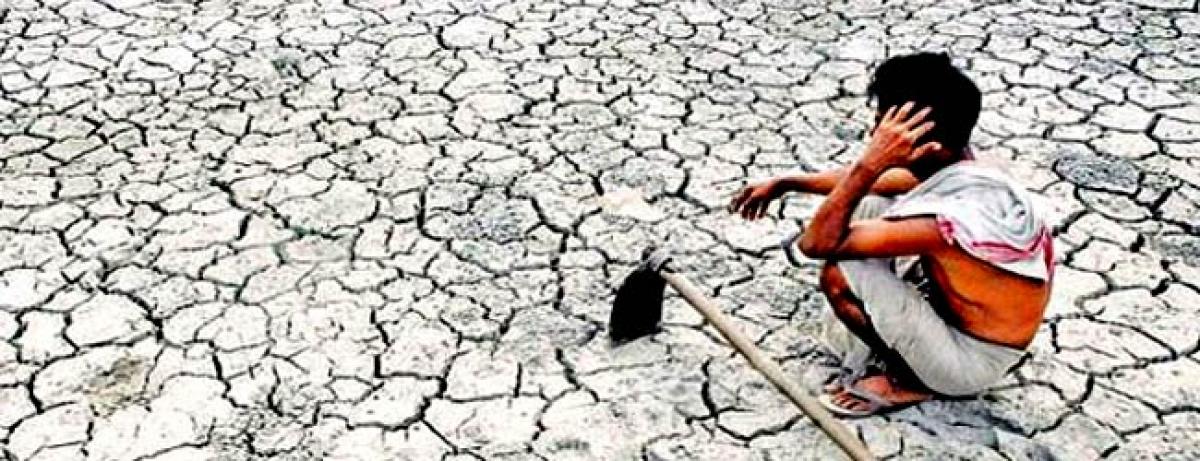 Famine hits 19 districts in Rajasthan