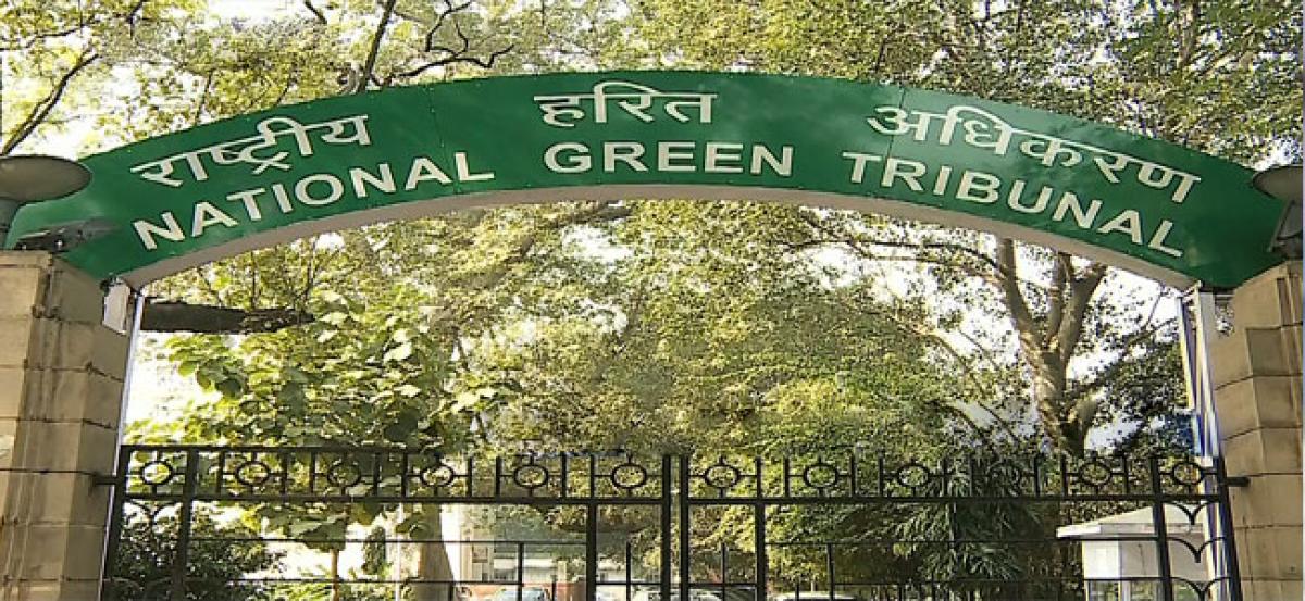 National Green Tribunal sees red over State laxity