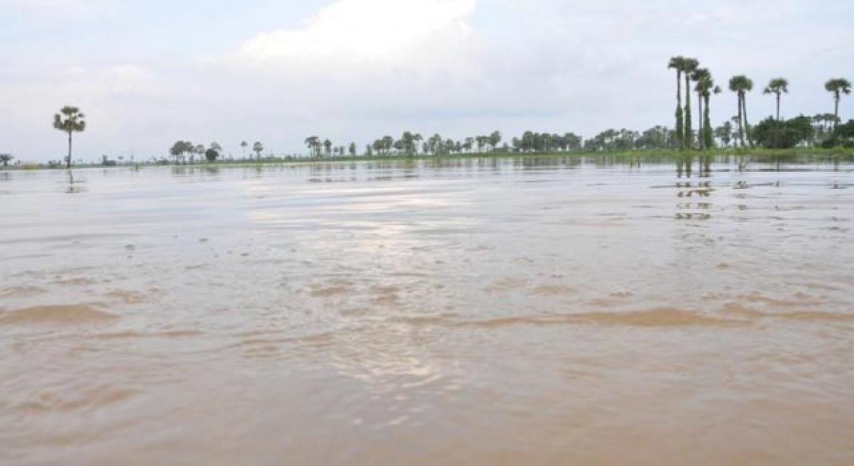 Yerrakalva rivulet floods; Measures taken