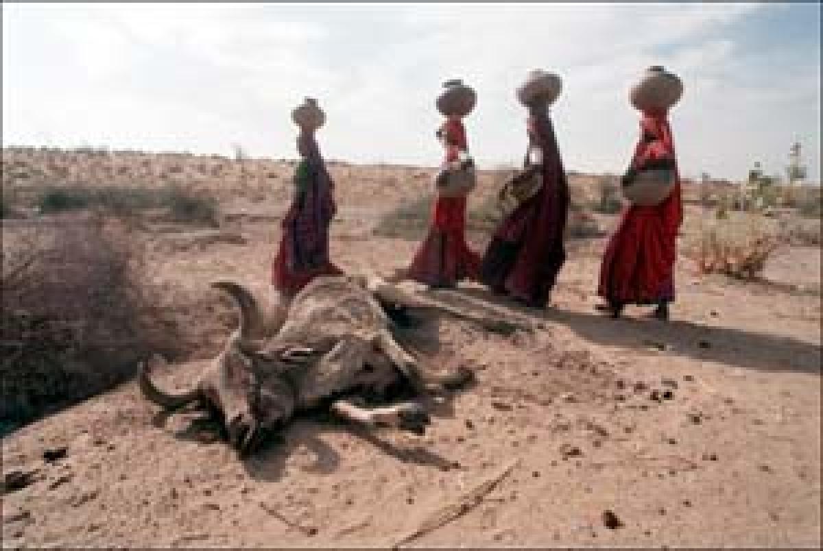 Drought hurts women, low-caste Dalits more