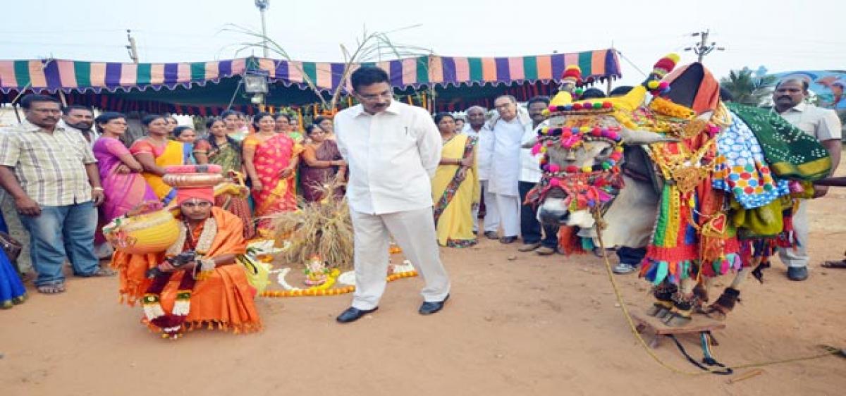 MP takes part in Sankranti fete