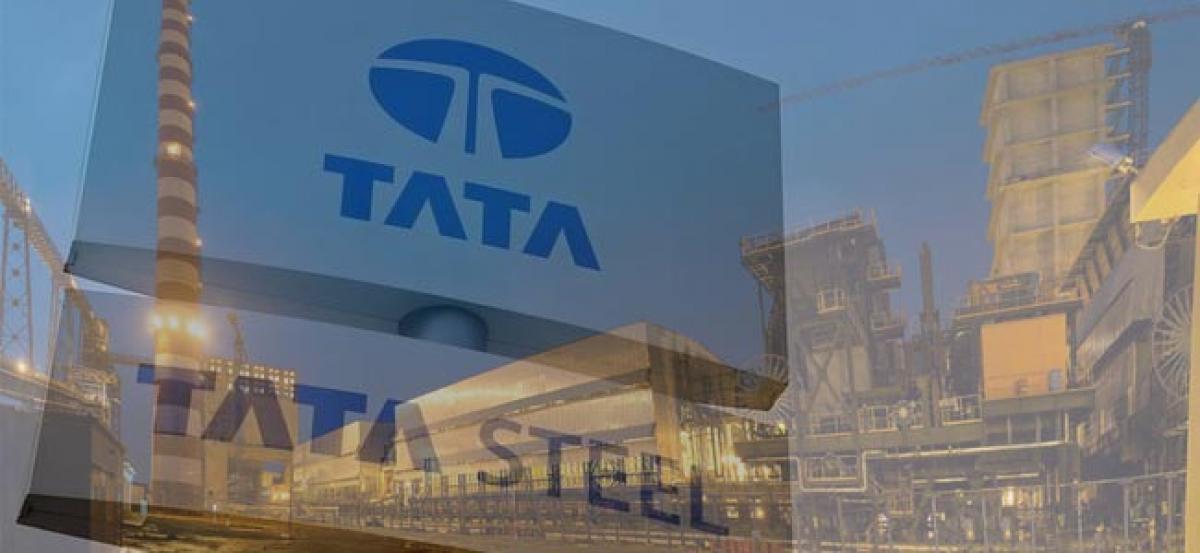 Tata Steels Odisha ferro-chrome plant starts production