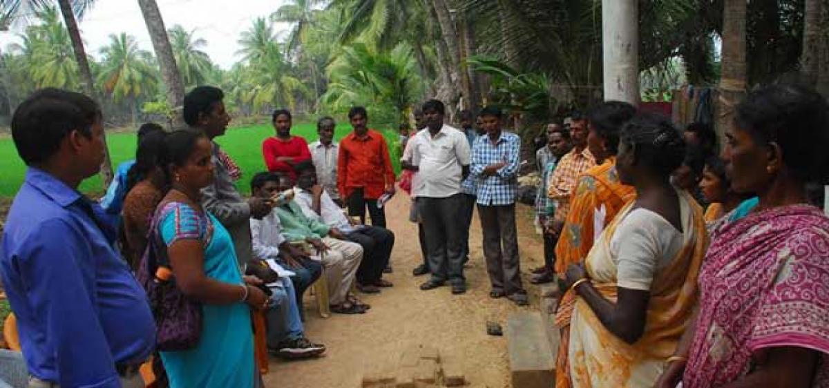 Green revolution in Godavari delta under aqua threat