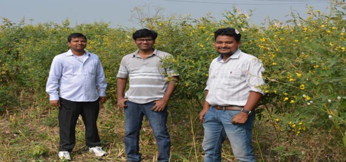 Novel e-platform for farmers’ produce