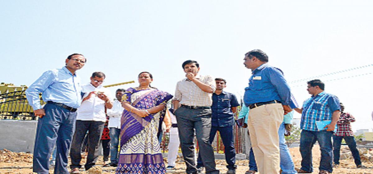 Complete beautification works fast: Collector