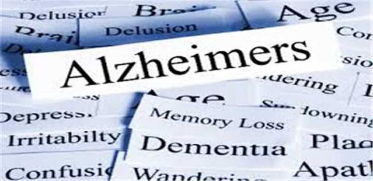 Alzheimer represents more than one illness