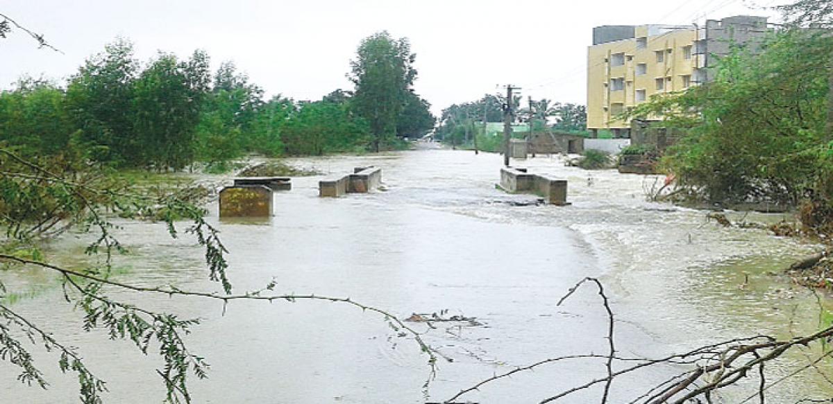 Rains wreak havoc in Chittoor, Nellore