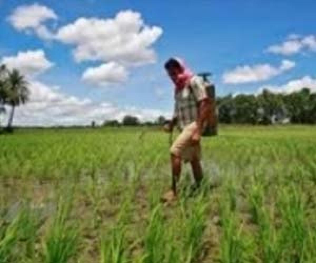 Cabinet approves MSP for Kharif crops of 2016-17, prices to be effective from Oct. 1