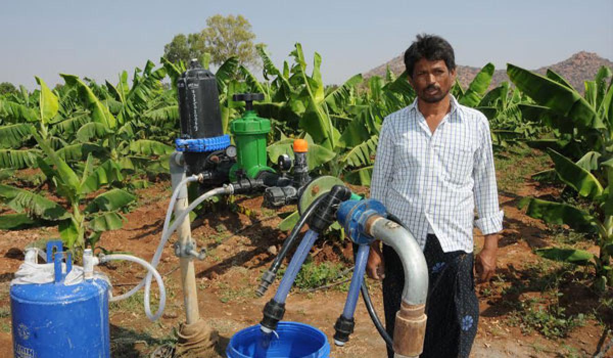Anantapur tops AP in drip irrigation