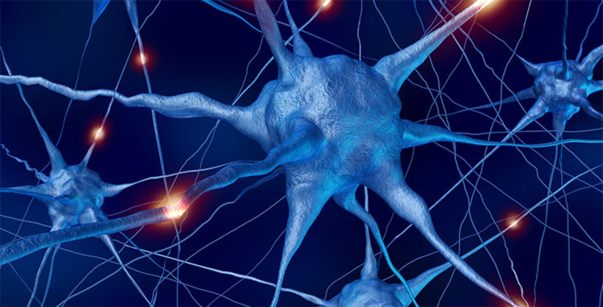 Neurons that help us form habits discovered