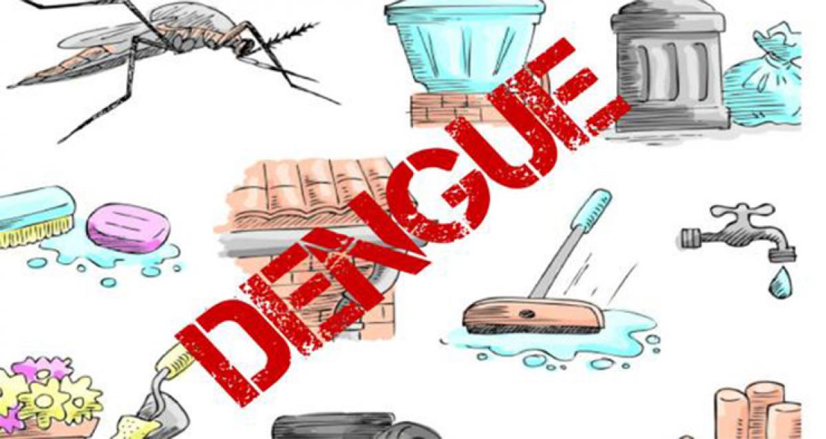 Mosquito-borne diseases loom large on city
