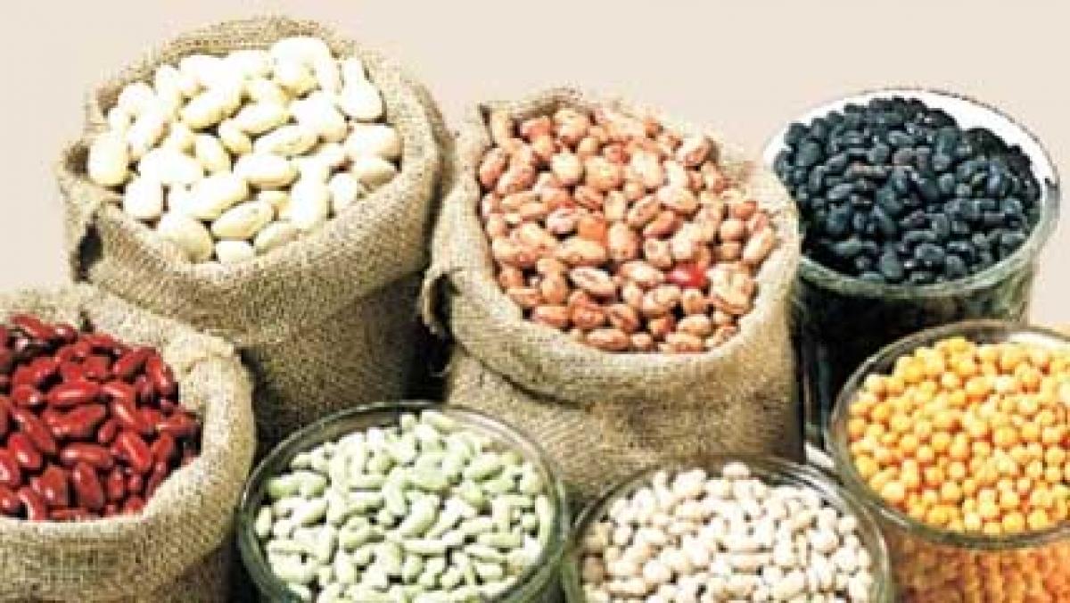 Steps Taken to Increase the Production of Pulses and Oilseeds Intervention Made in Drought Affected Areas 