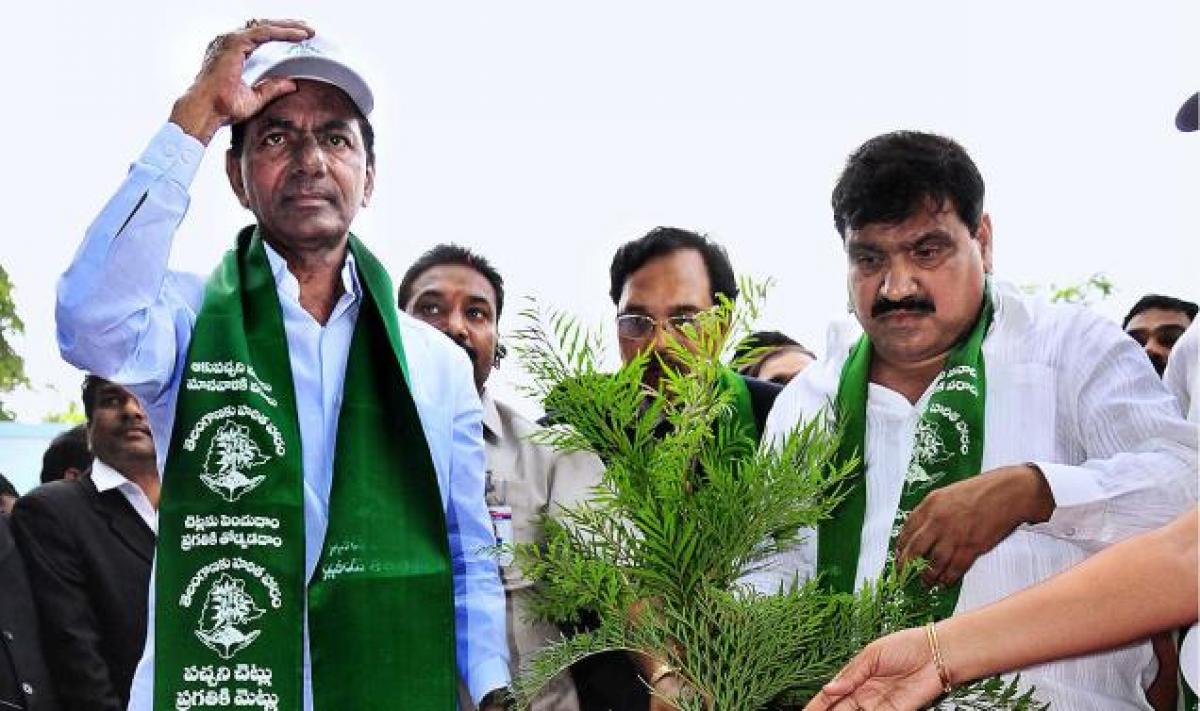 Tollywood stars pitch in for KCRs Haritha Haram