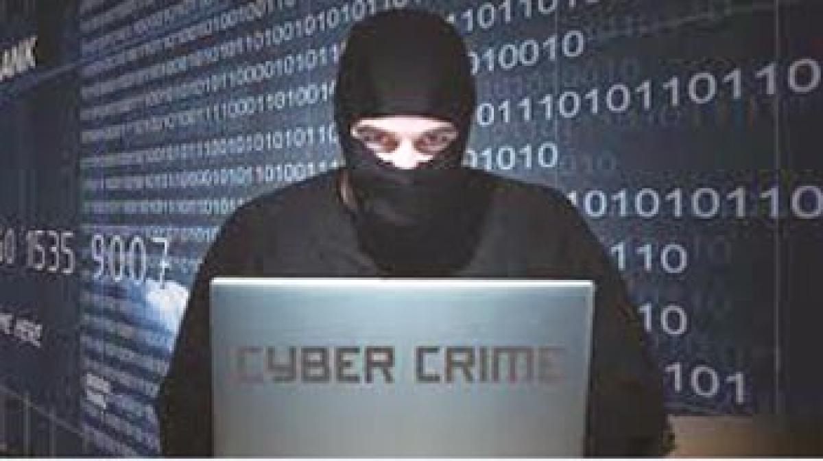 City cops crack one-year-old cyber crime