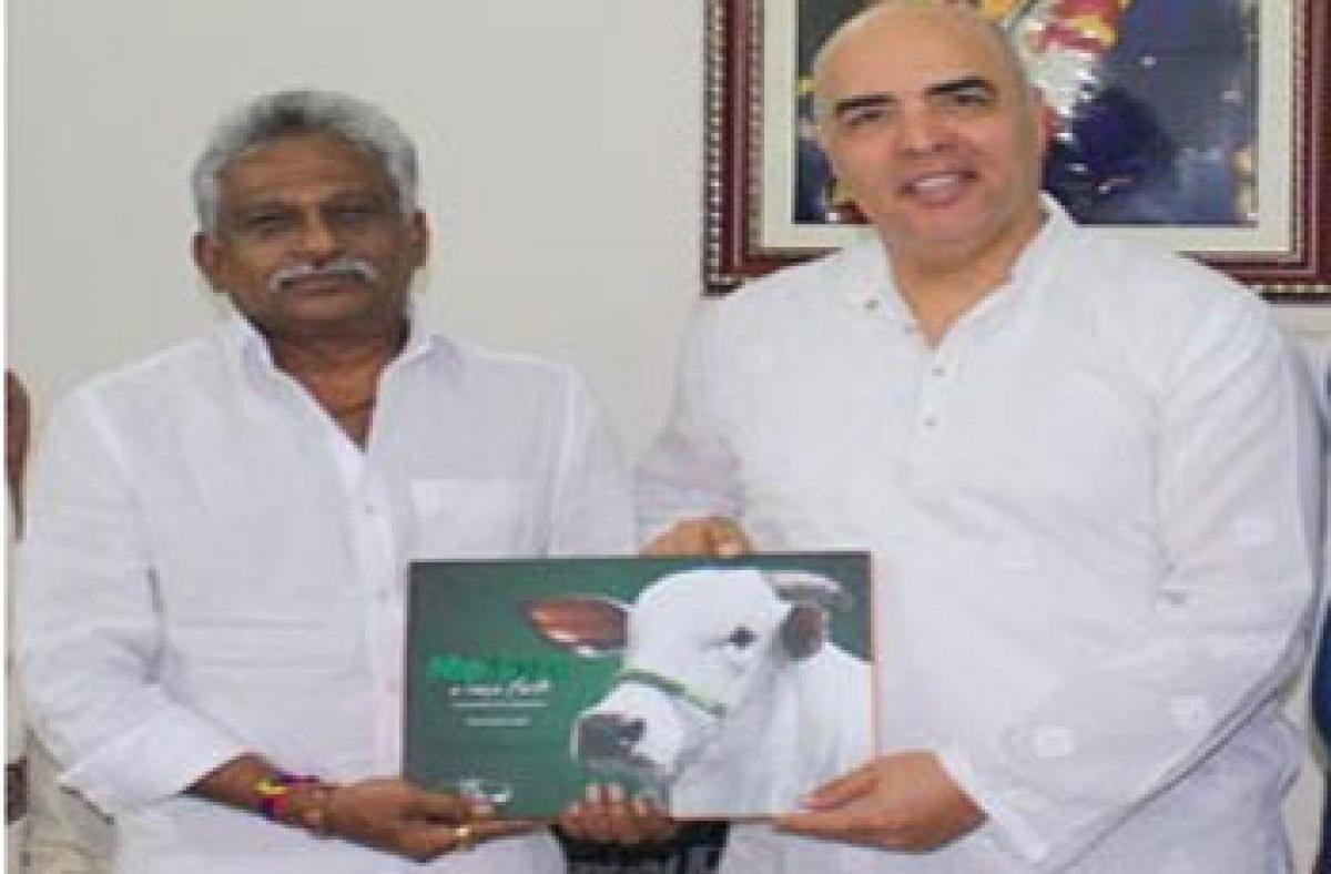 Ongole MP to attend cattle expo in Brazil