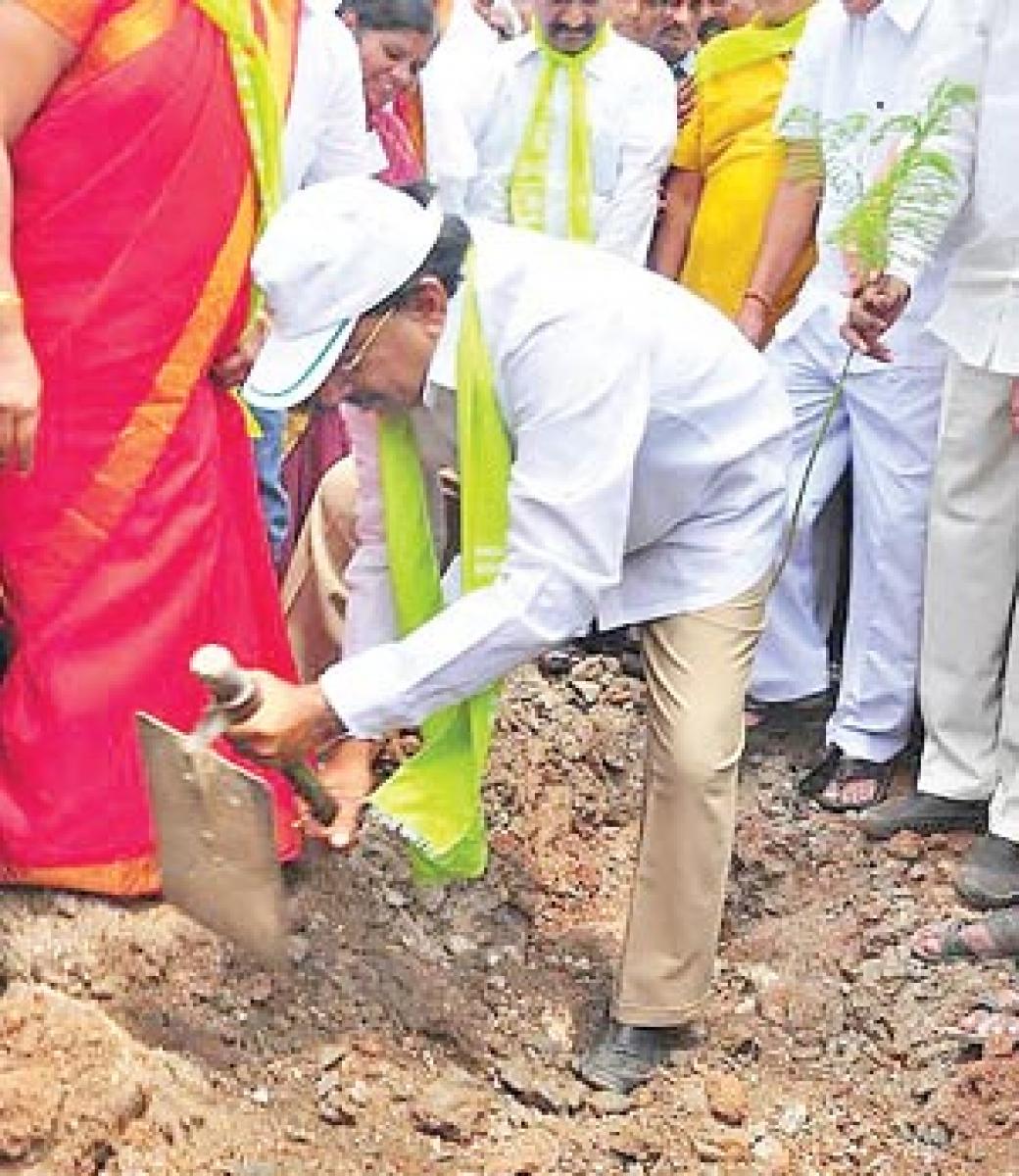 3.5 crore saplings to be planted in Khammam