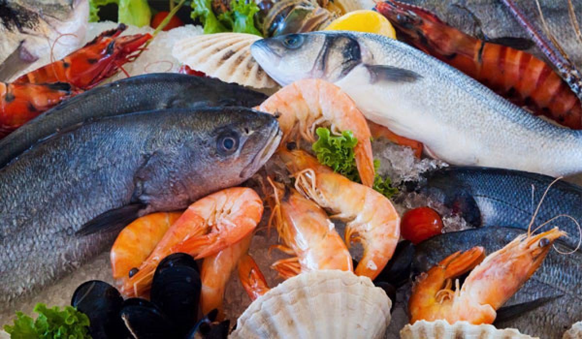 Experts stress importance of  Seafood safety