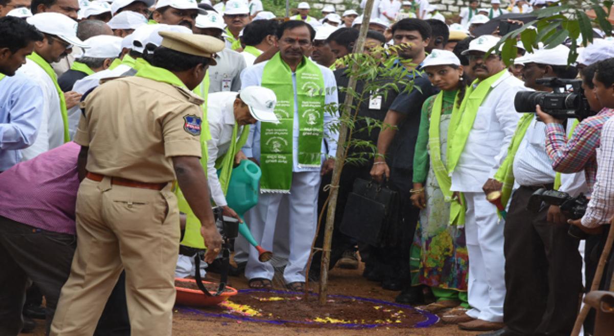 Mega plantation drive a grand success