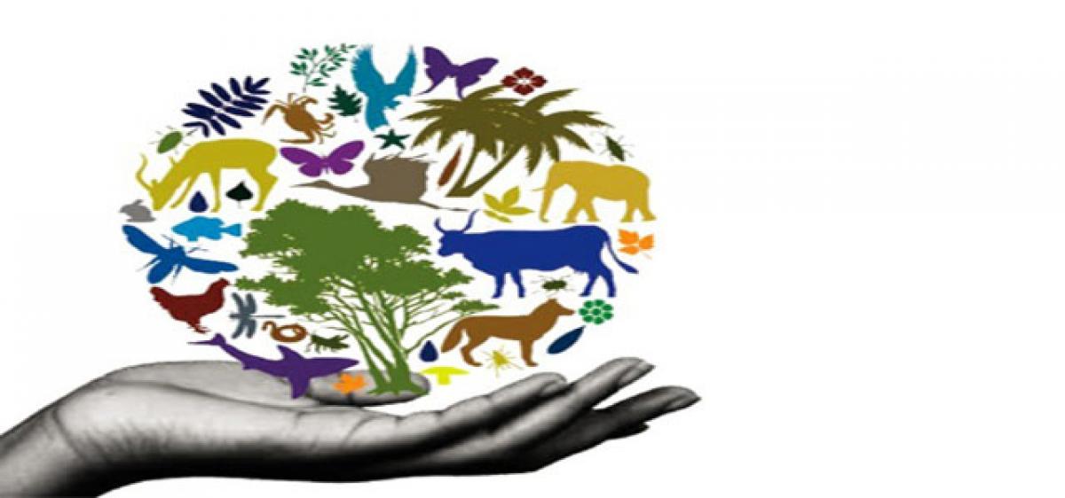 Conserving environment and biodiversity vital