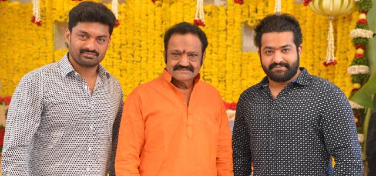 NTR-Bobby film launched