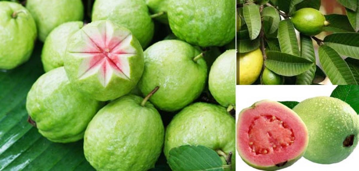 5 Health Benefits of Guava